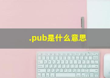 .pub是什么意思