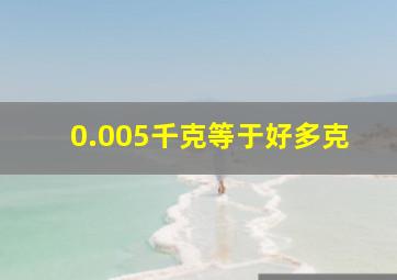 0.005千克等于好多克