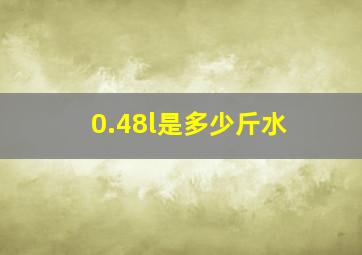 0.48l是多少斤水