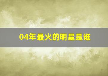 04年最火的明星是谁