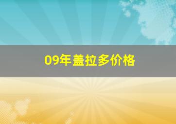 09年盖拉多价格