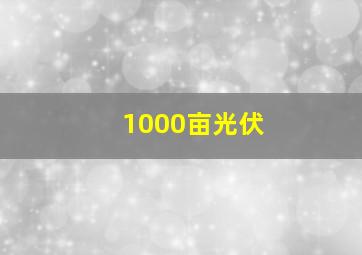 1000亩光伏