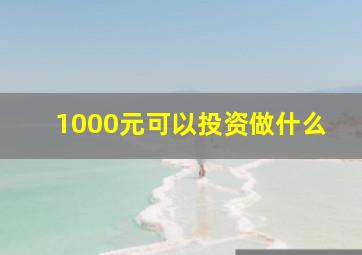 1000元可以投资做什么