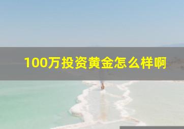 100万投资黄金怎么样啊