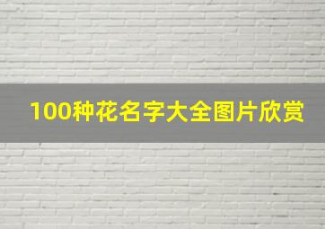 100种花名字大全图片欣赏