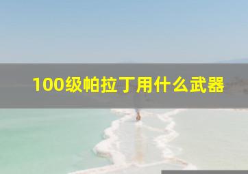 100级帕拉丁用什么武器