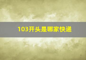 103开头是哪家快递