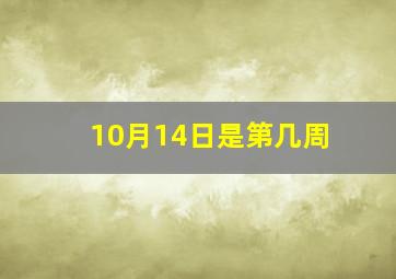 10月14日是第几周