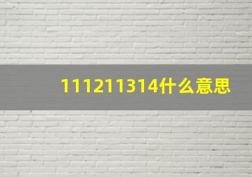 111211314什么意思