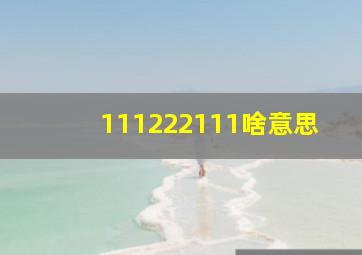 111222111啥意思