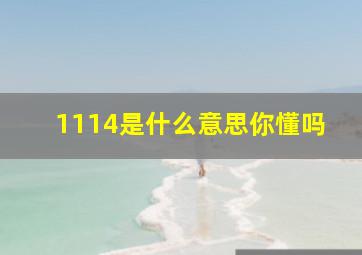 1114是什么意思你懂吗