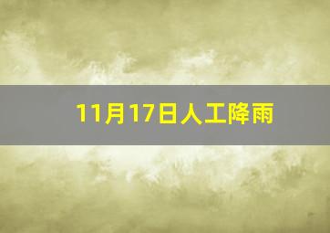 11月17日人工降雨