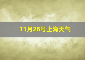 11月28号上海天气