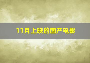 11月上映的国产电影