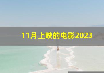 11月上映的电影2023