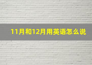 11月和12月用英语怎么说