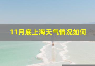 11月底上海天气情况如何