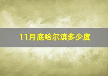 11月底哈尔滨多少度