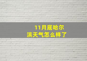 11月底哈尔滨天气怎么样了