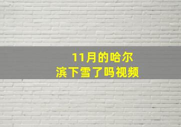 11月的哈尔滨下雪了吗视频