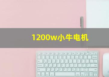 1200w小牛电机