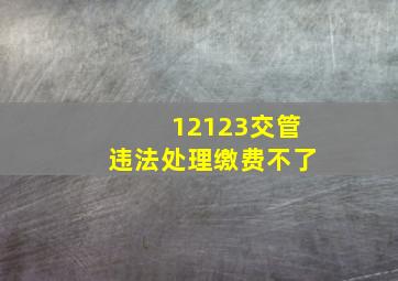 12123交管违法处理缴费不了