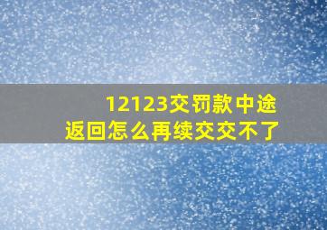 12123交罚款中途返回怎么再续交交不了