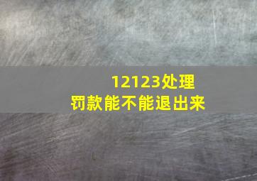 12123处理罚款能不能退出来