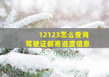 12123怎么查询驾驶证邮寄进度信息