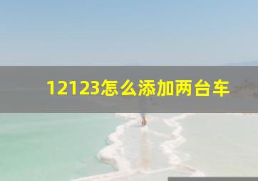 12123怎么添加两台车