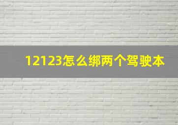 12123怎么绑两个驾驶本