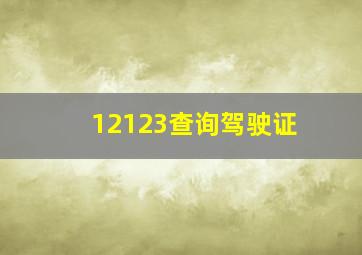 12123查询驾驶证