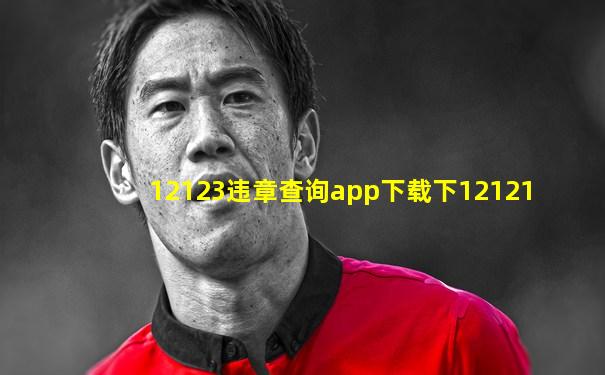 12123违章查询app下载下12121