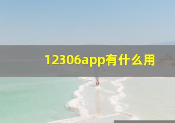 12306app有什么用