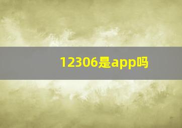 12306是app吗