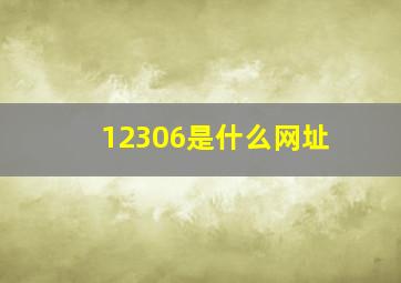 12306是什么网址