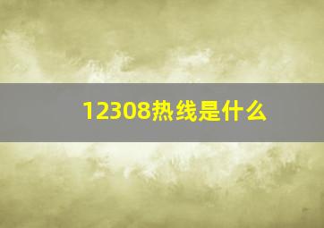 12308热线是什么