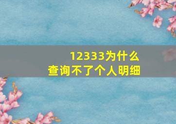 12333为什么查询不了个人明细