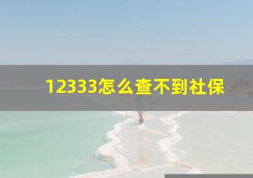 12333怎么查不到社保