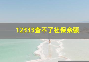 12333查不了社保余额