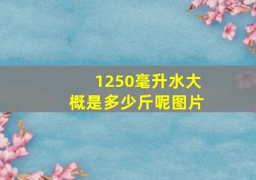 1250毫升水大概是多少斤呢图片