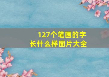 127个笔画的字长什么样图片大全