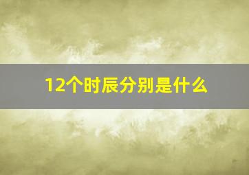 12个时辰分别是什么