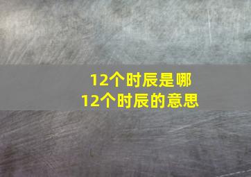 12个时辰是哪12个时辰的意思