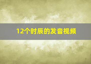 12个时辰的发音视频