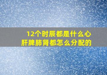 12个时辰都是什么心肝脾肺肾都怎么分配的