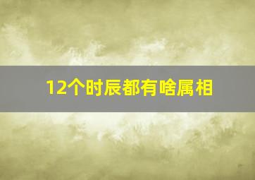 12个时辰都有啥属相