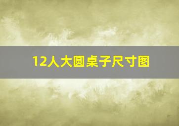 12人大圆桌子尺寸图