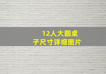 12人大圆桌子尺寸详细图片