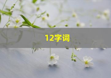 12字词